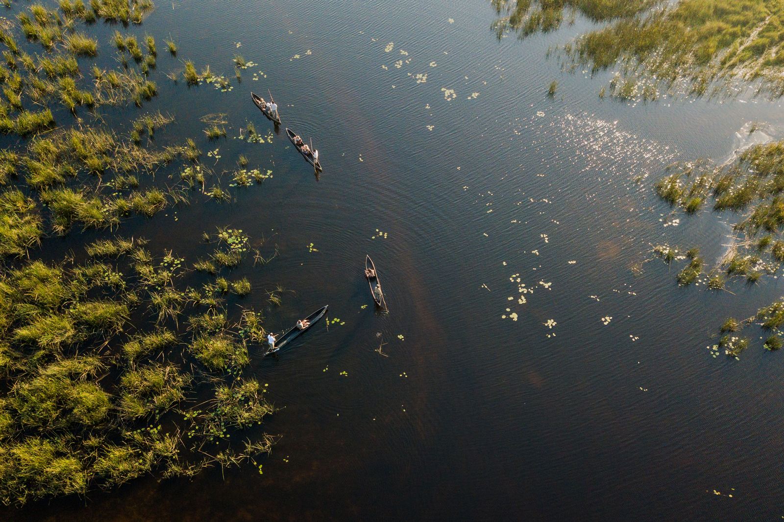 Karangoma en Delta Okavango