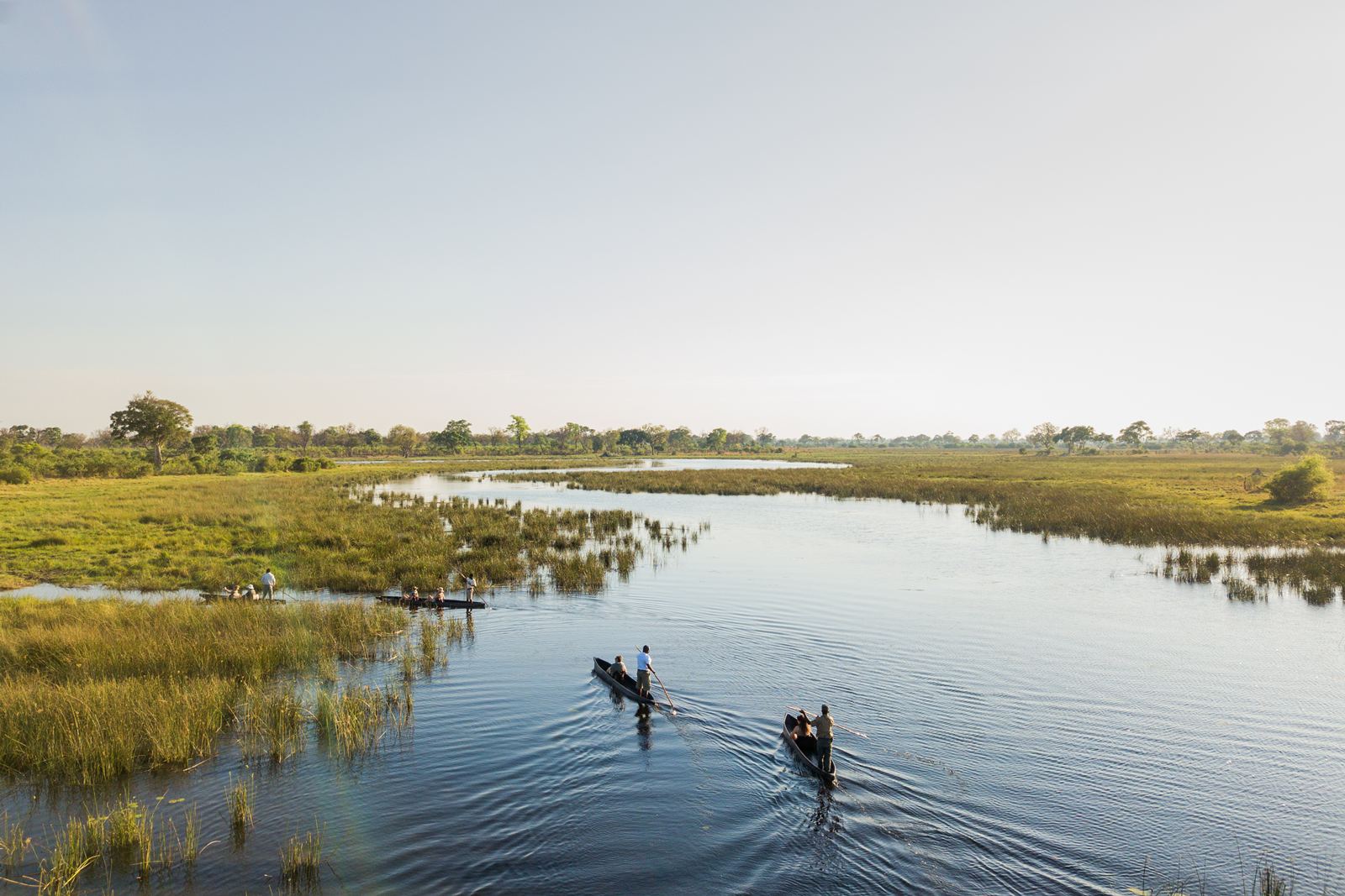 Karangoma en Delta Okavango