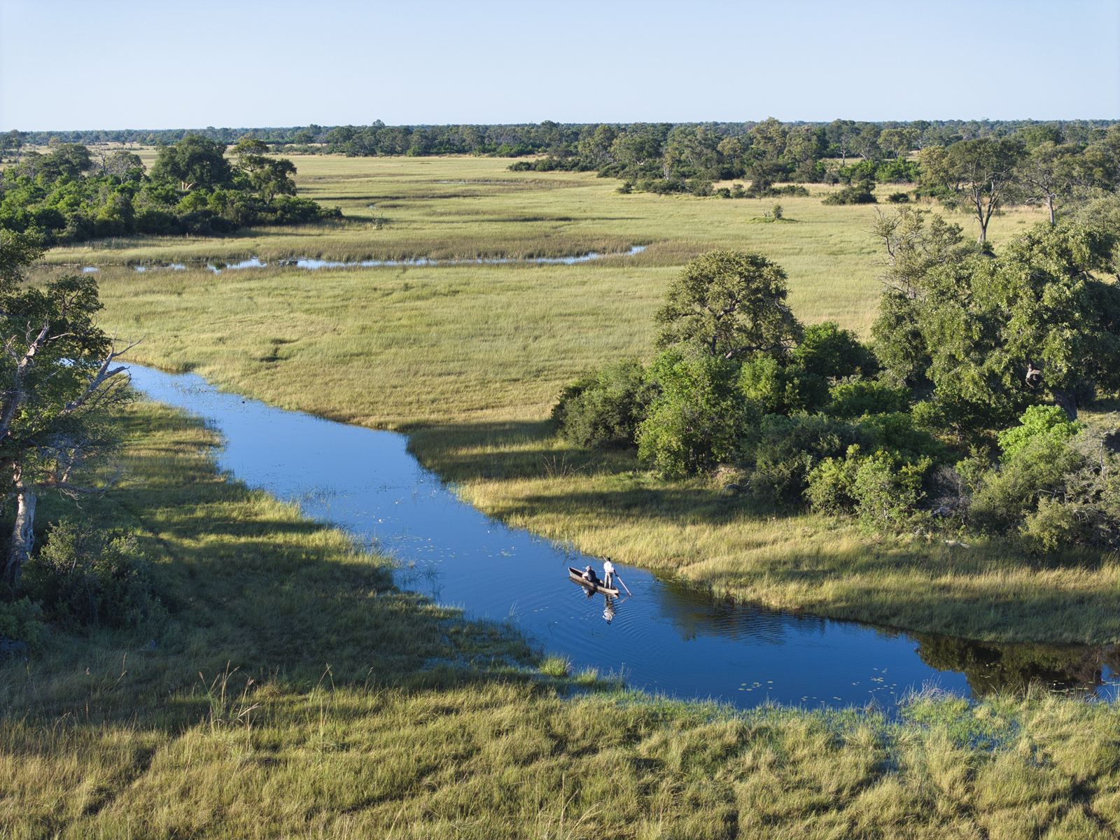 Karangoma en Delta Okavango