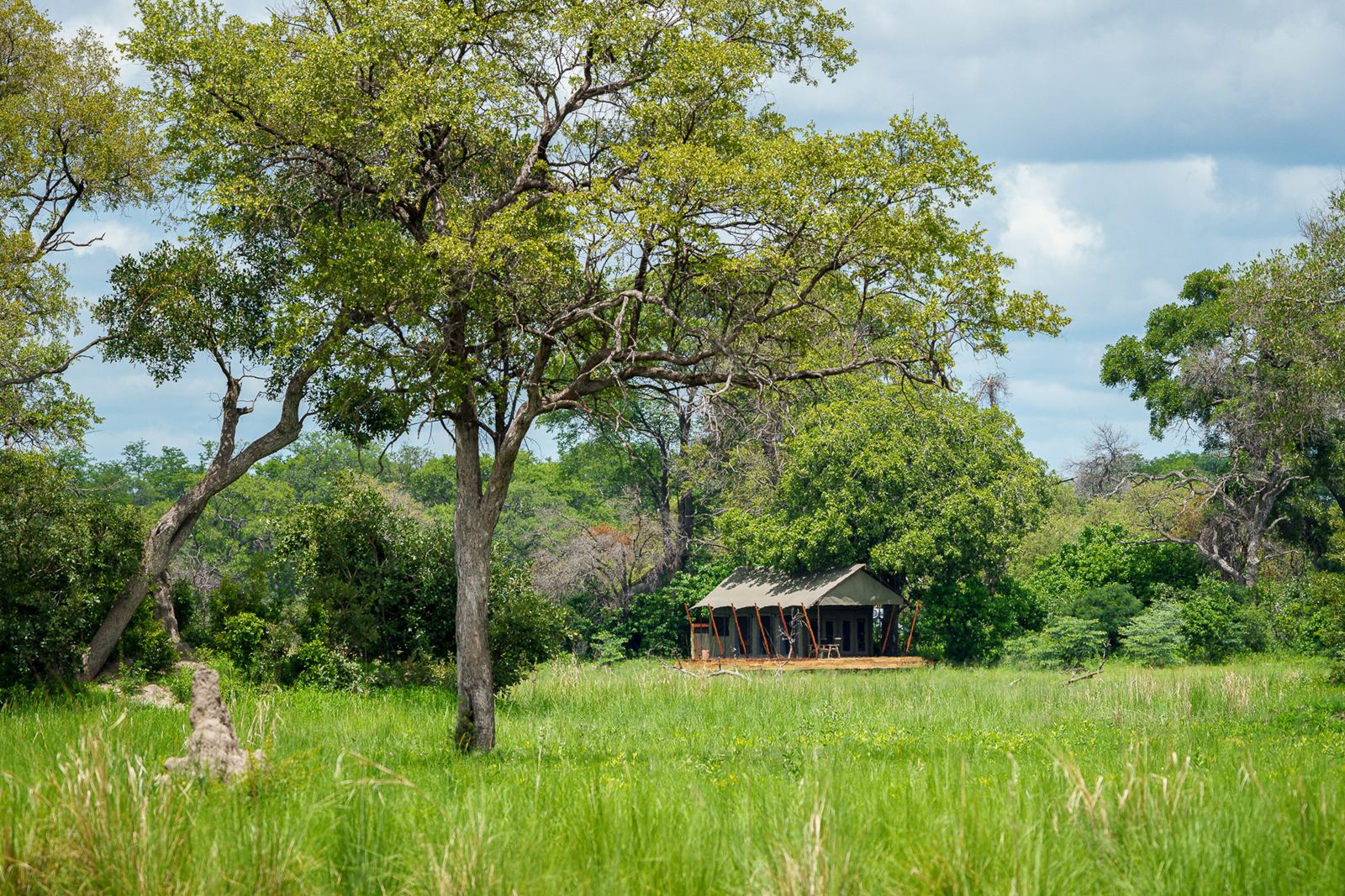 Karangoma en Delta Okavango