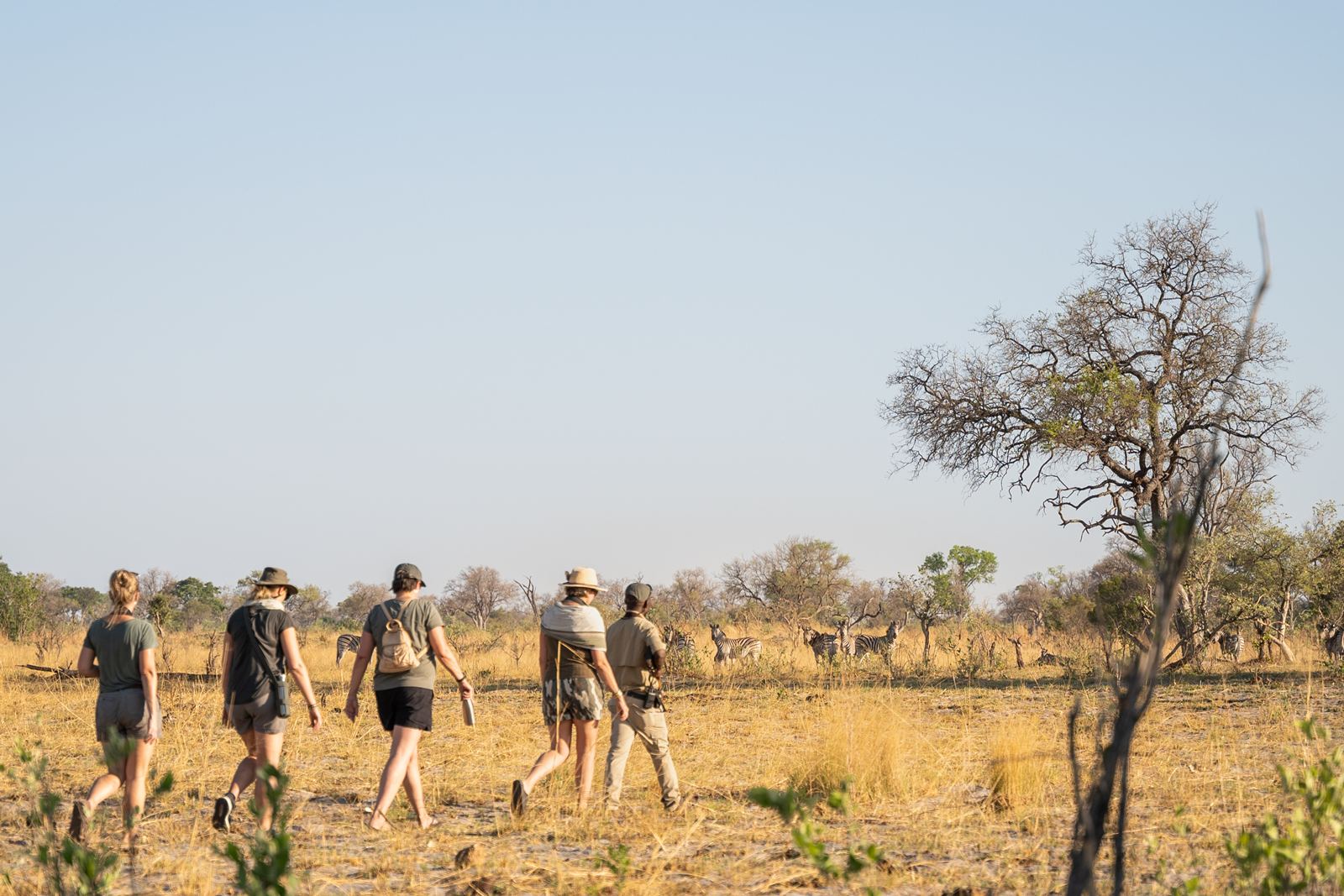 Karangoma en Delta Okavango