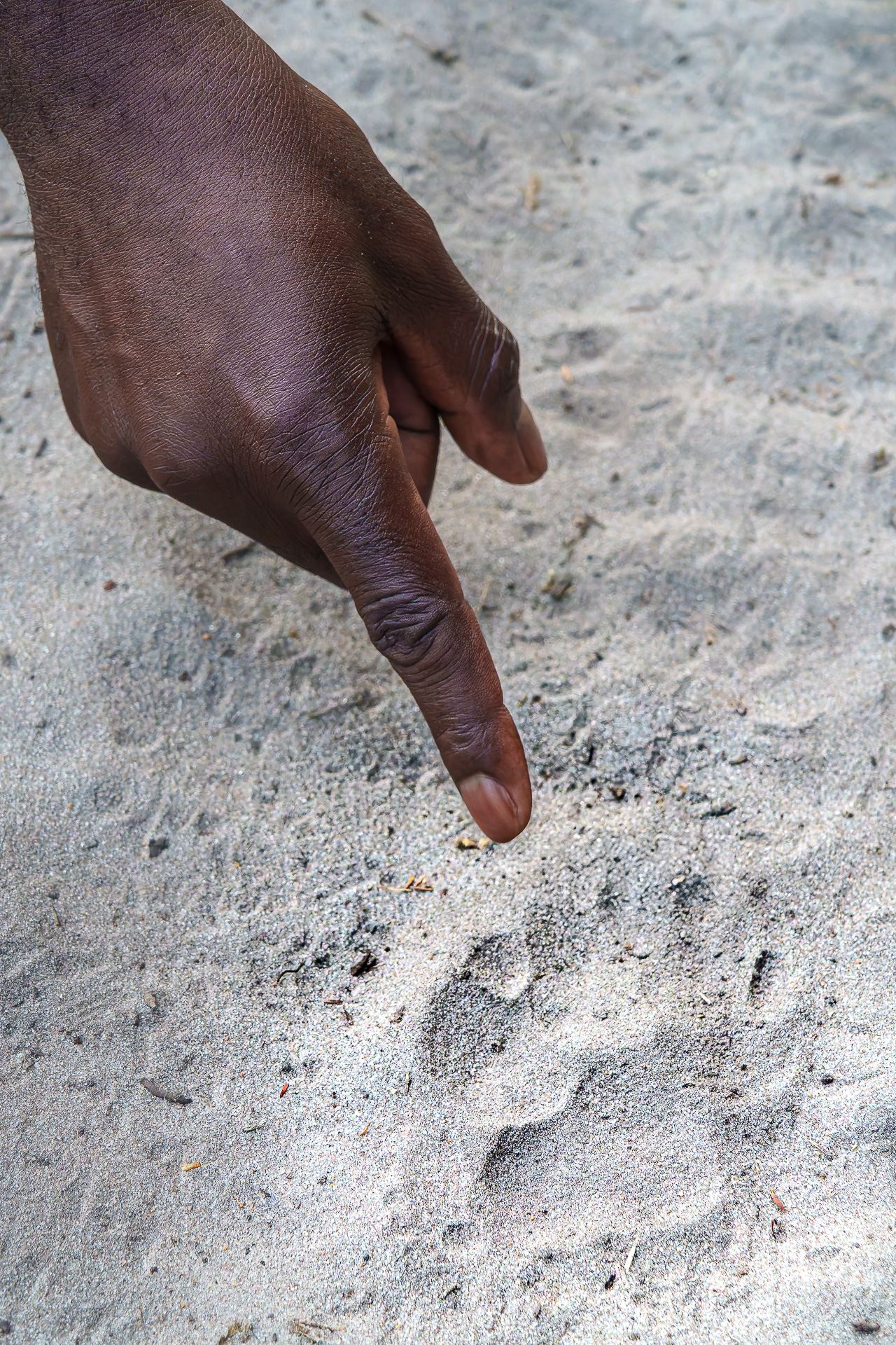 Karangoma en Delta Okavango