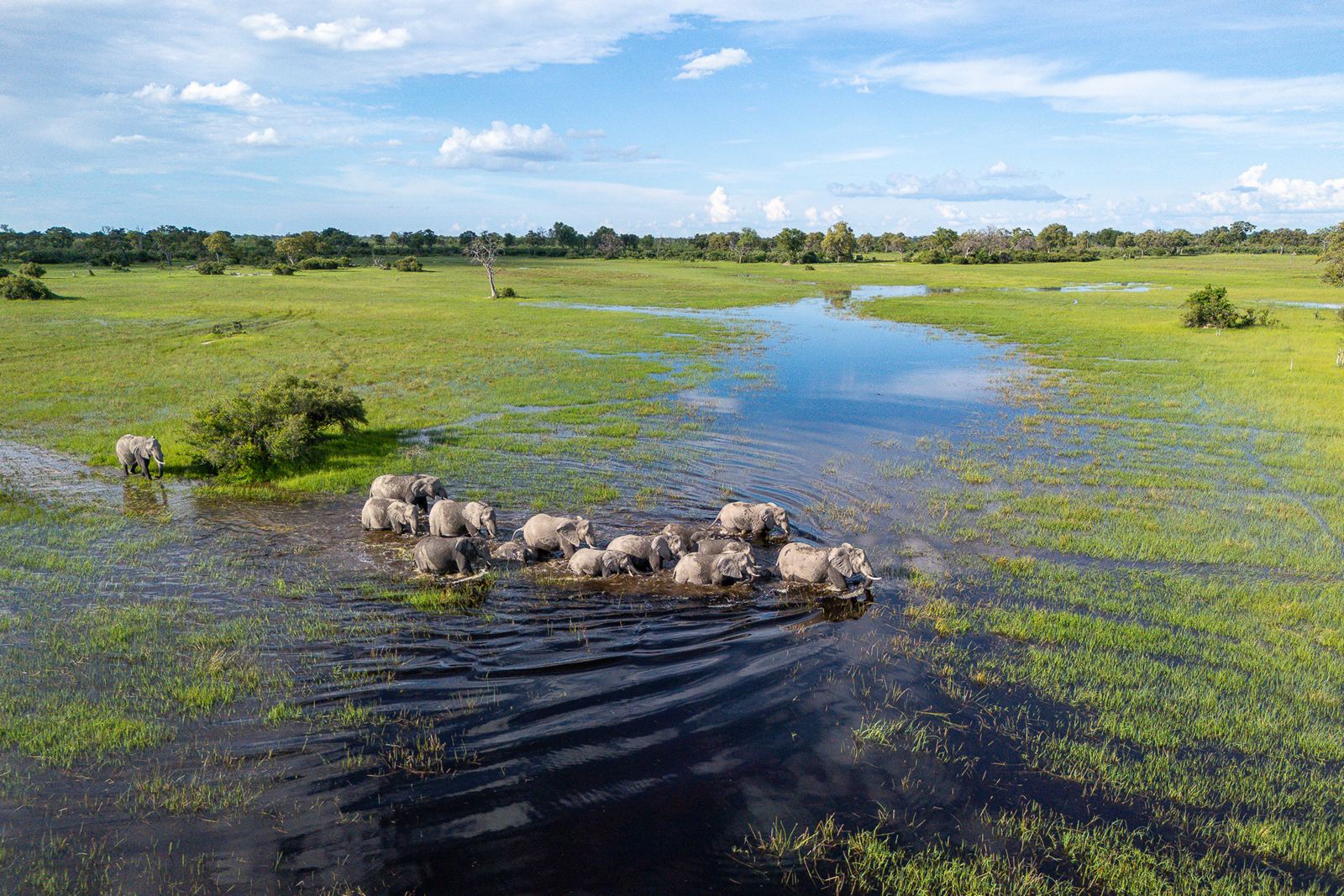 Karangoma en Delta Okavango