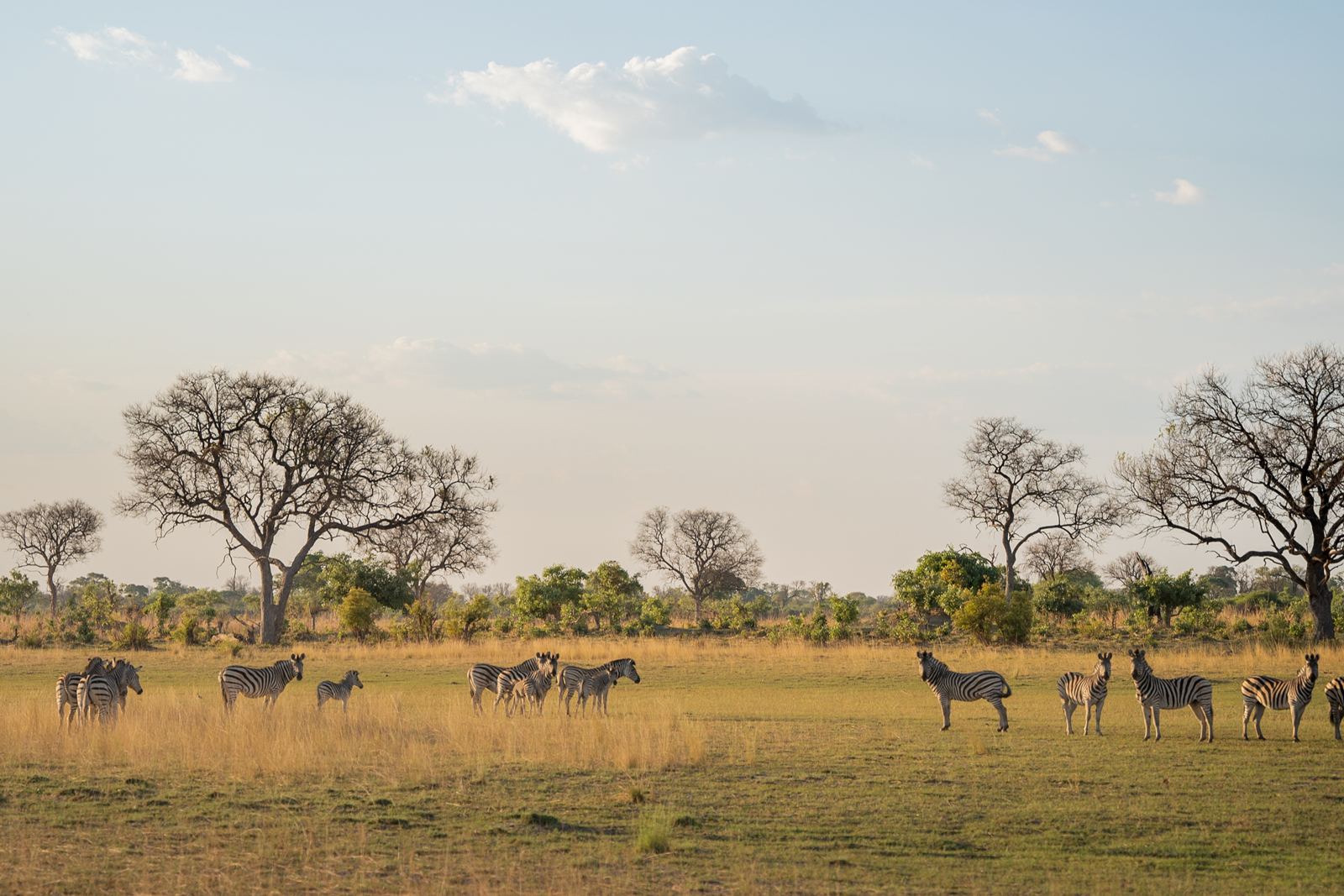 Karangoma en Delta Okavango
