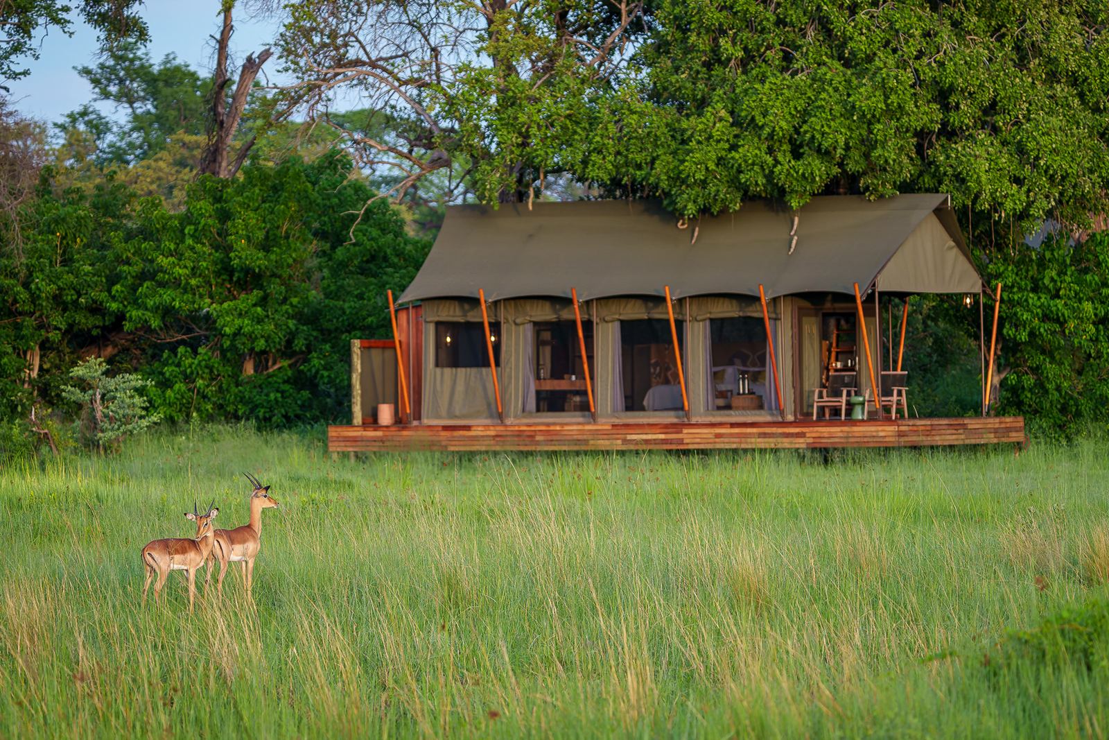 Karangoma en Delta Okavango