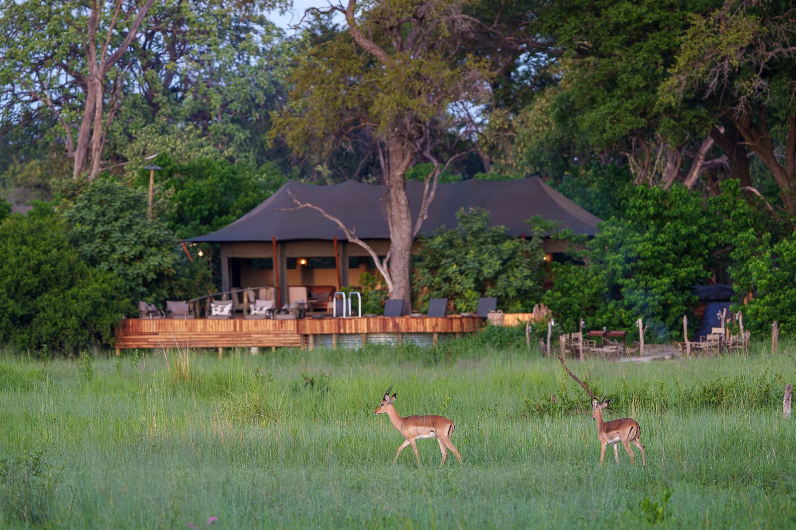 Karangoma en Delta Okavango