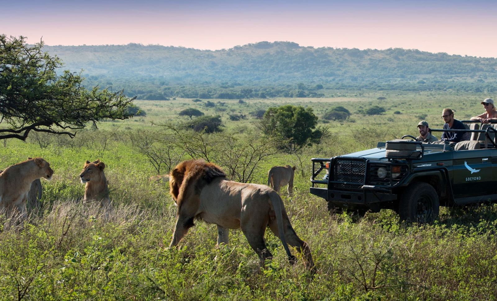 andBeyond Phinda Mountain Lodge en Phinda