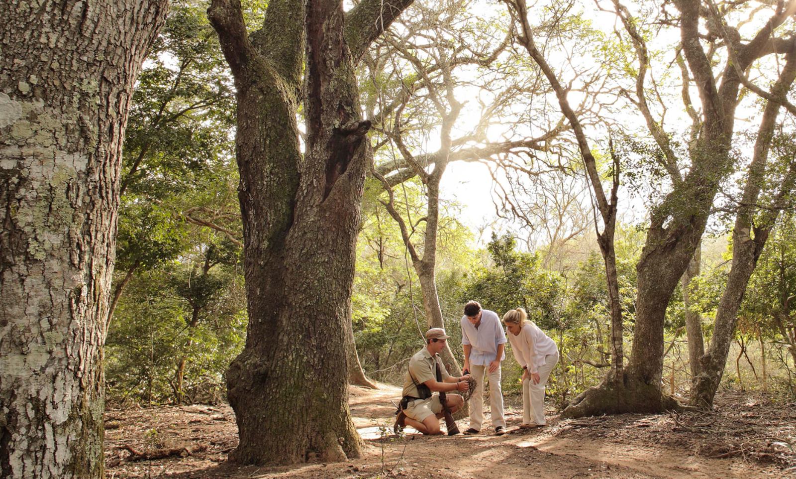 andBeyond Phinda Mountain Lodge en Phinda
