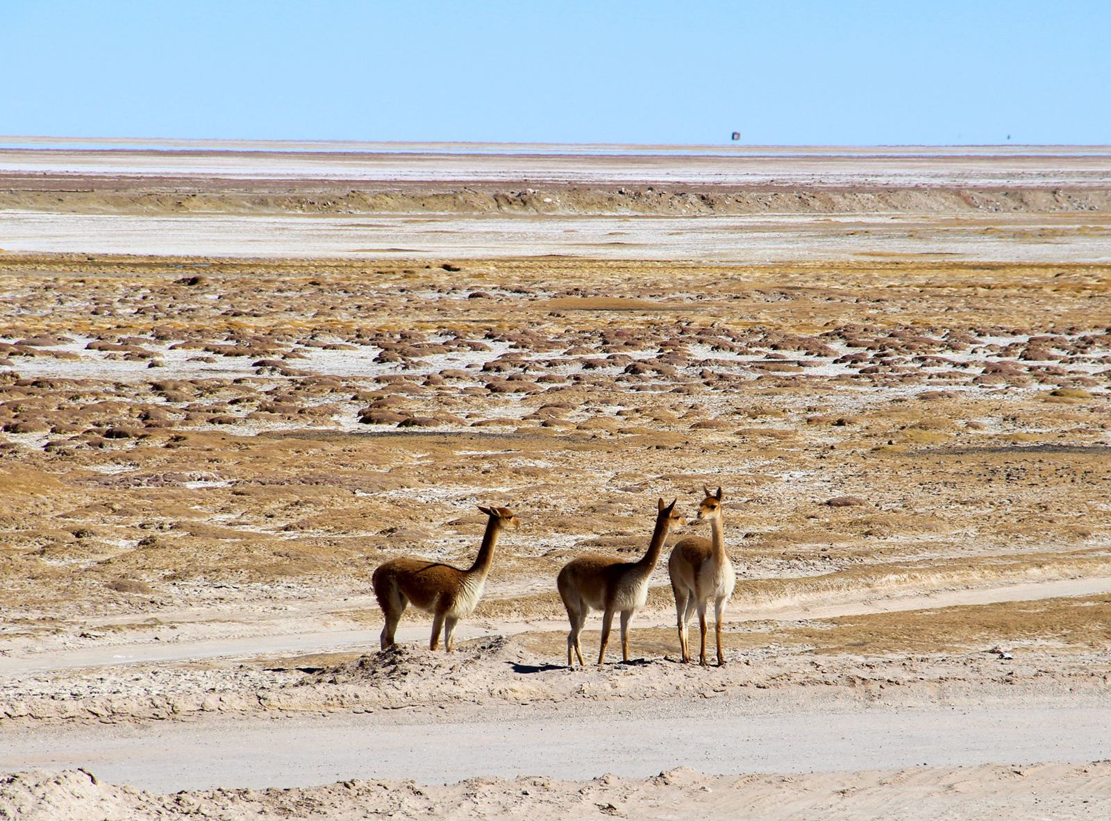 Palacio de Sal en Salar de Uyuni