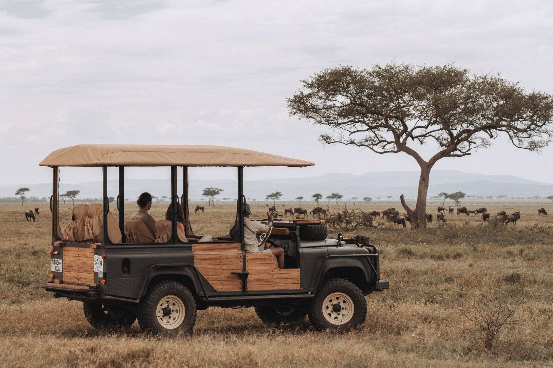 LABA Grumeti Art Lodge en Serengeti