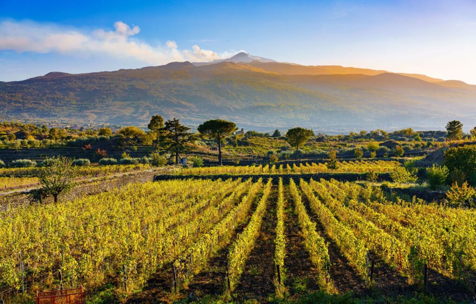 Sicilia