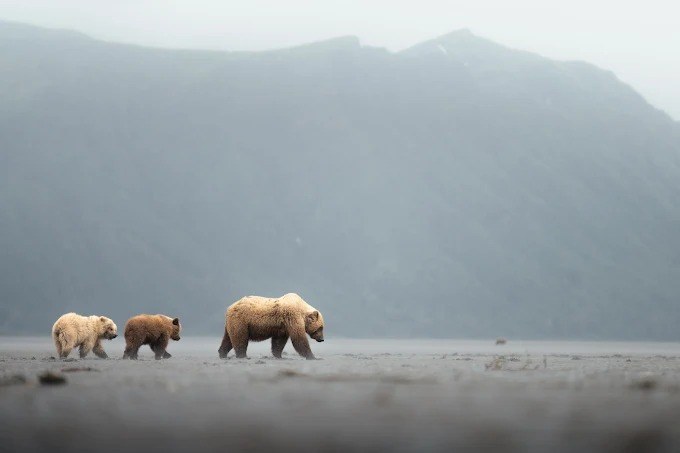 Tutka Bay Lodge en Alaska