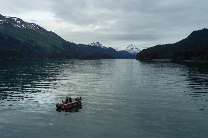 Tutka Bay Lodge en Alaska