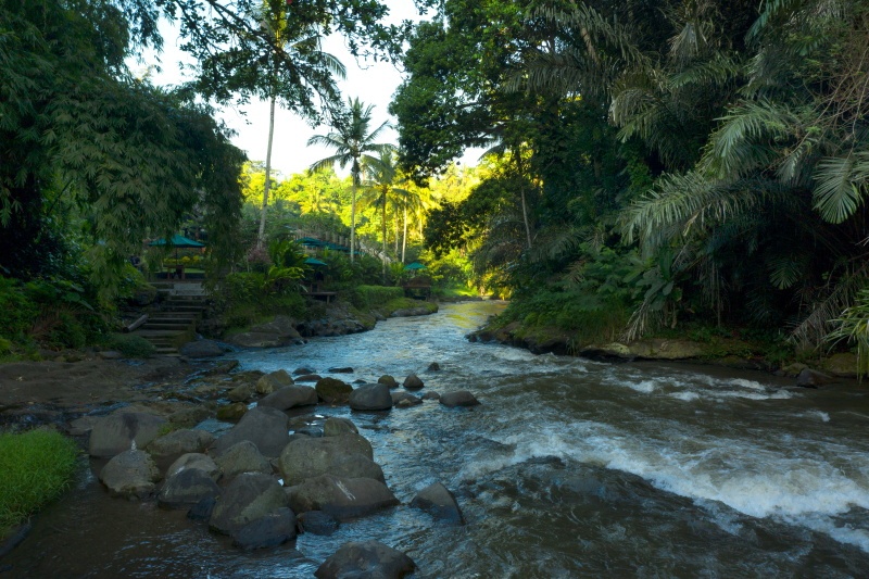 The Samaya Ubud en Ubud