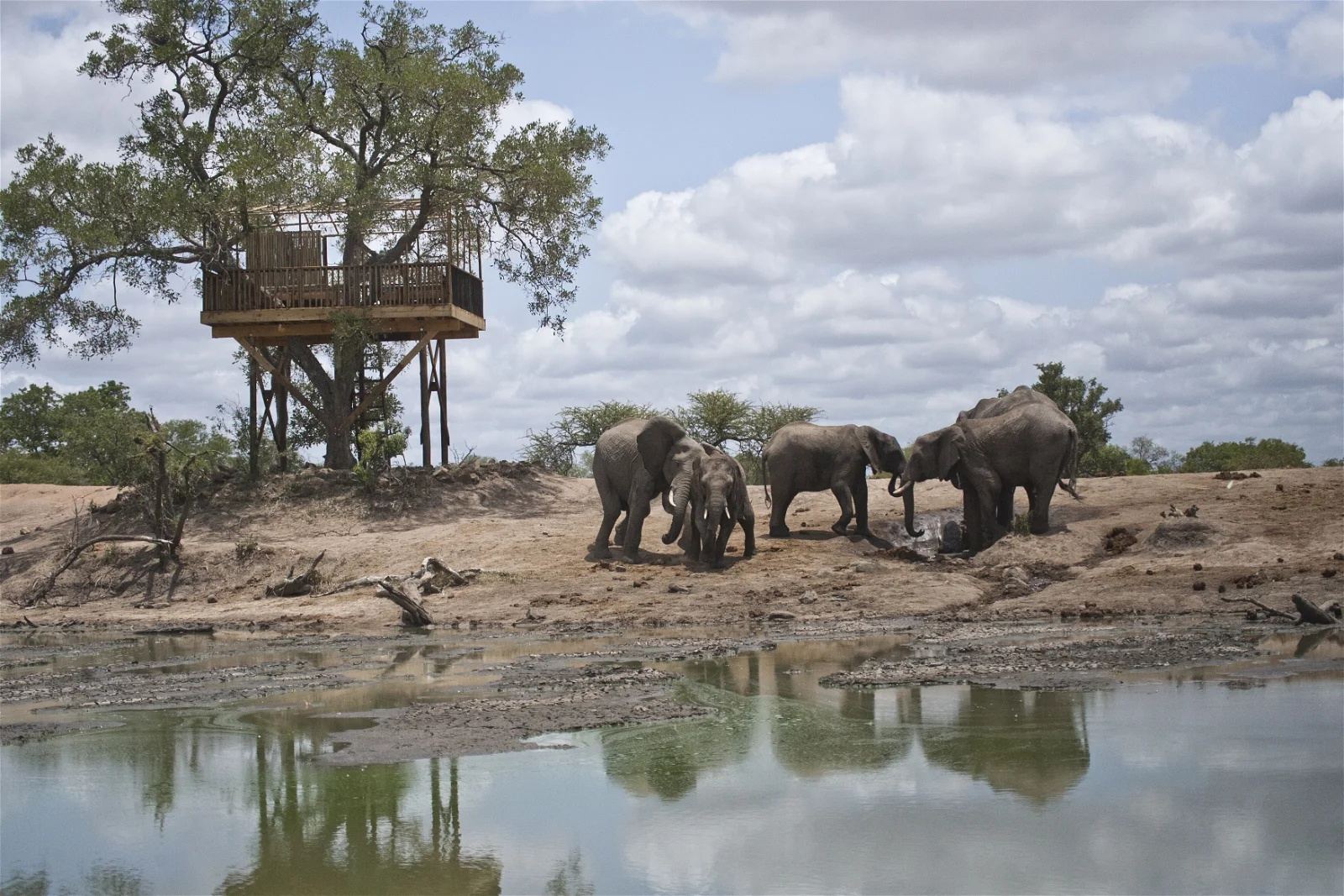 Umlani Bushcamp en Kruger National Park