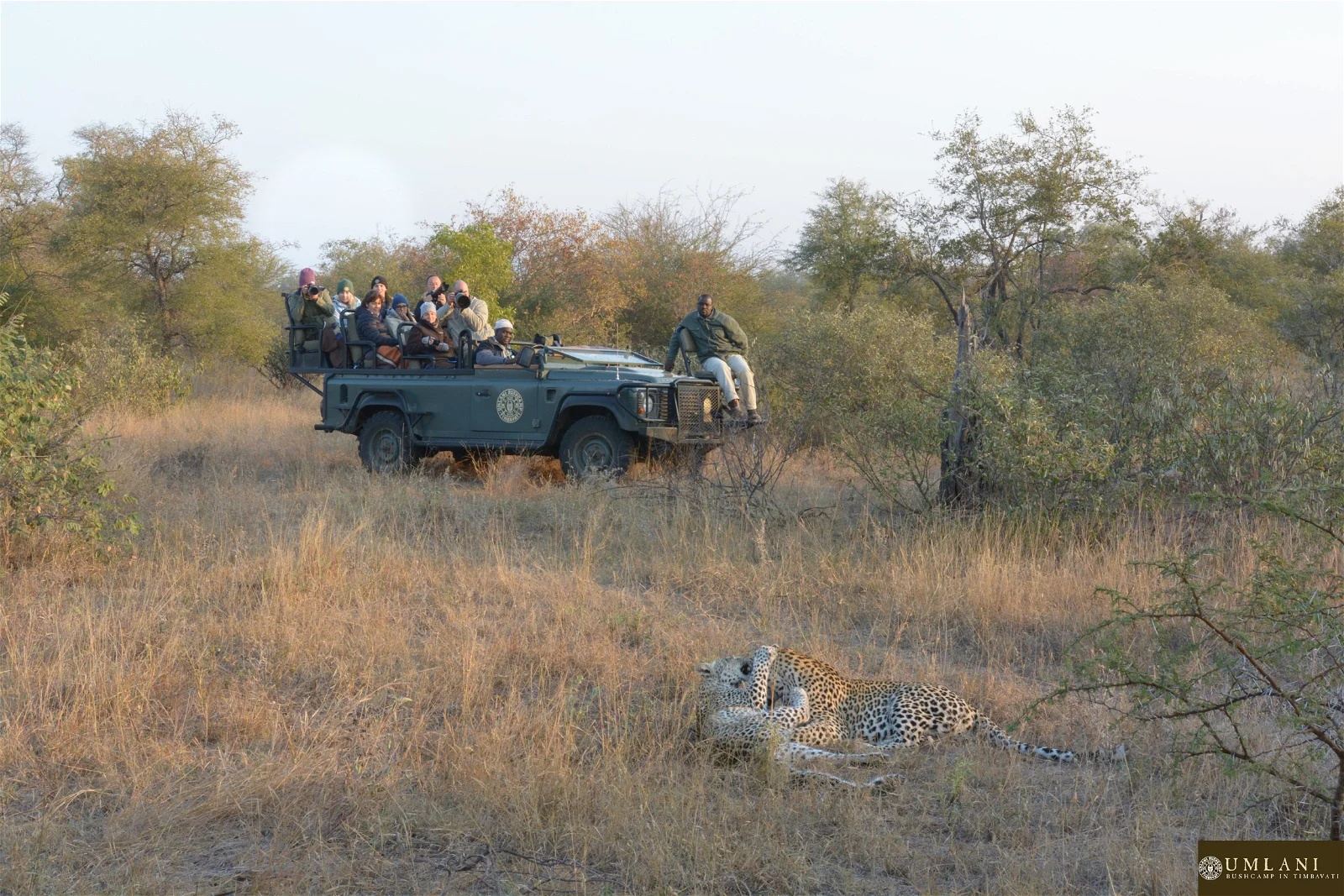 Umlani Bushcamp en Kruger National Park