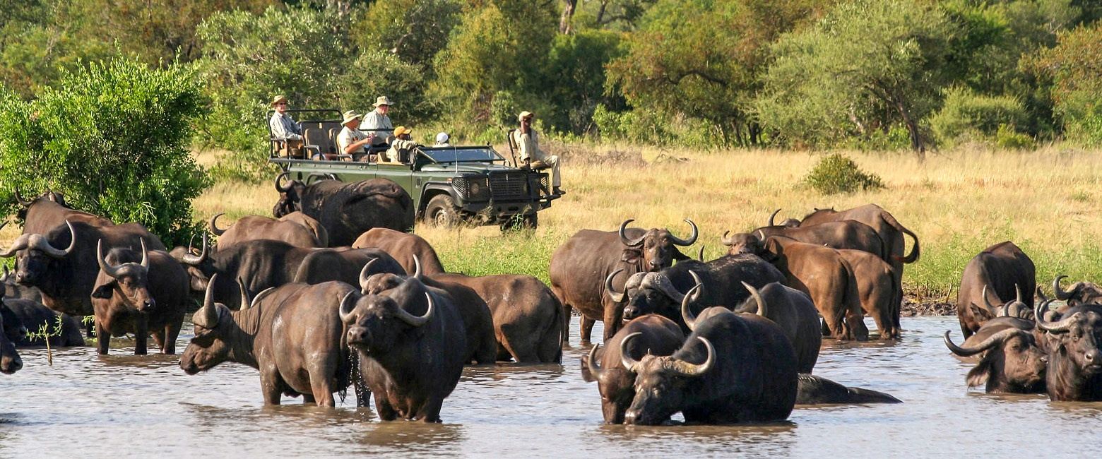 Umlani Bushcamp en Kruger National Park
