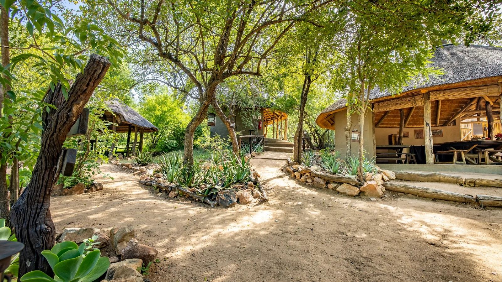 Umlani Bushcamp en Kruger National Park