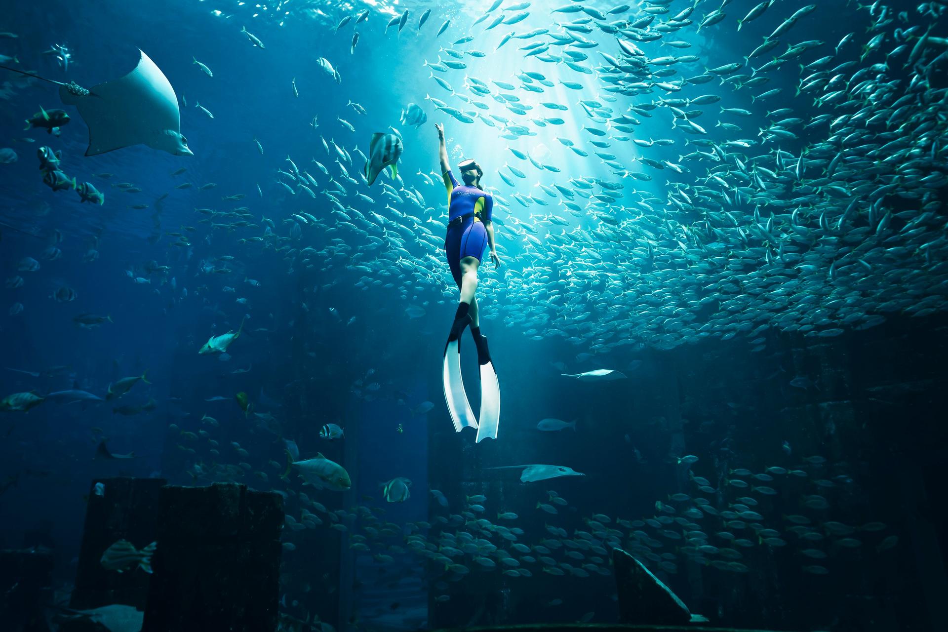 Atlantis, The Palm en Dubai