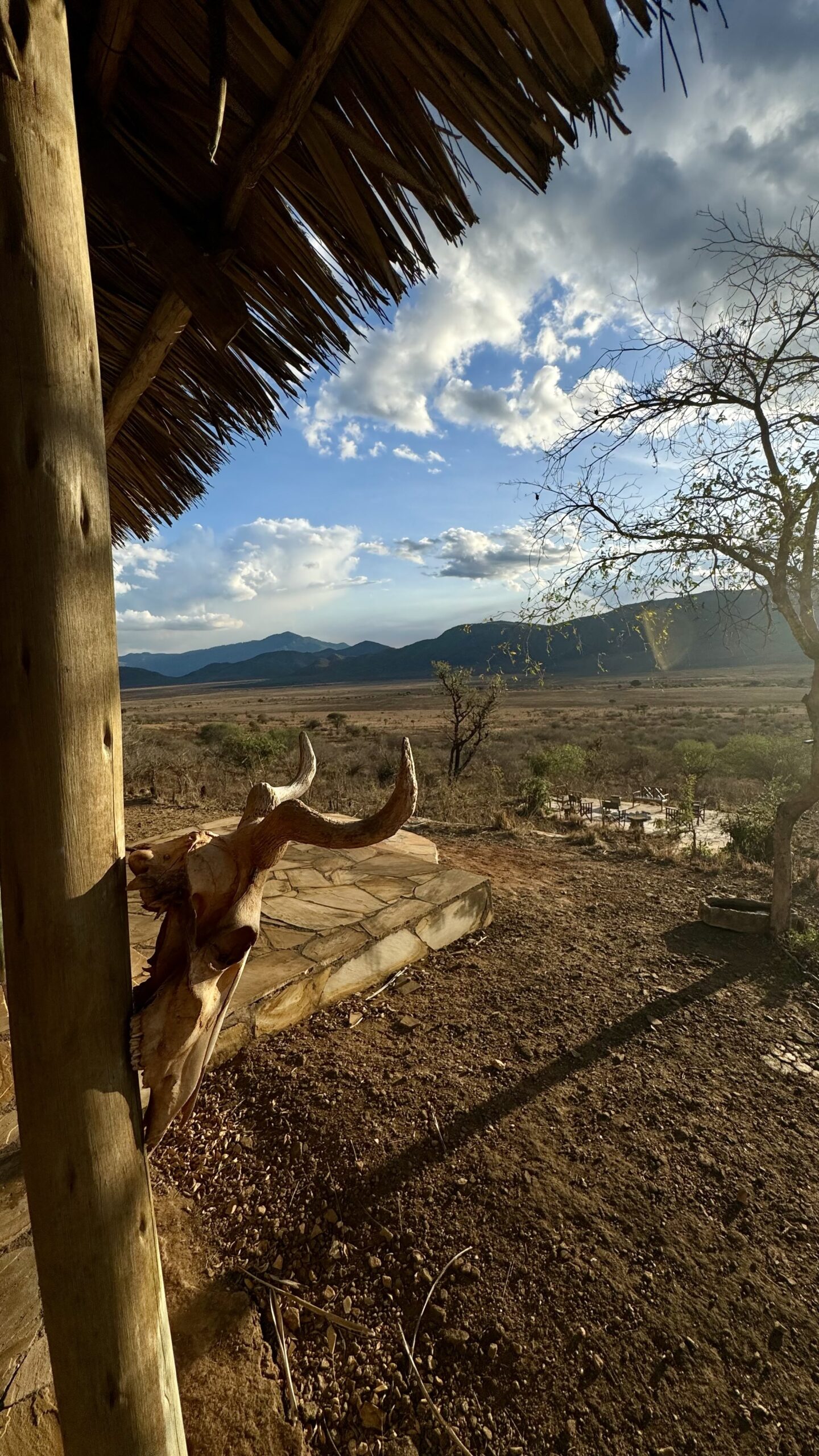 Babu's Camp en Mkomazi National Park