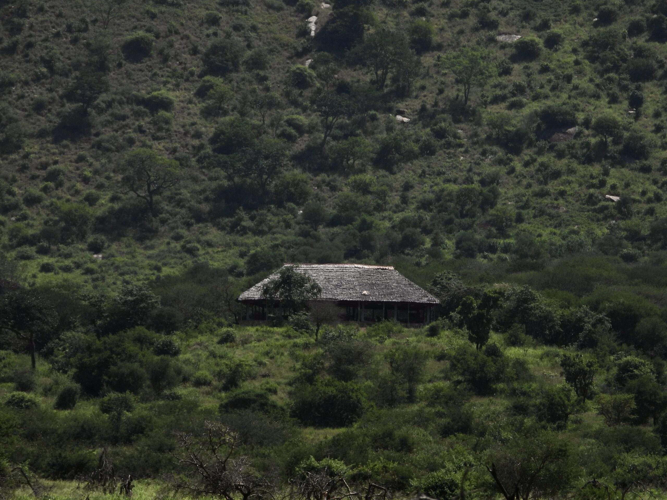 Babu's Camp en Mkomazi National Park