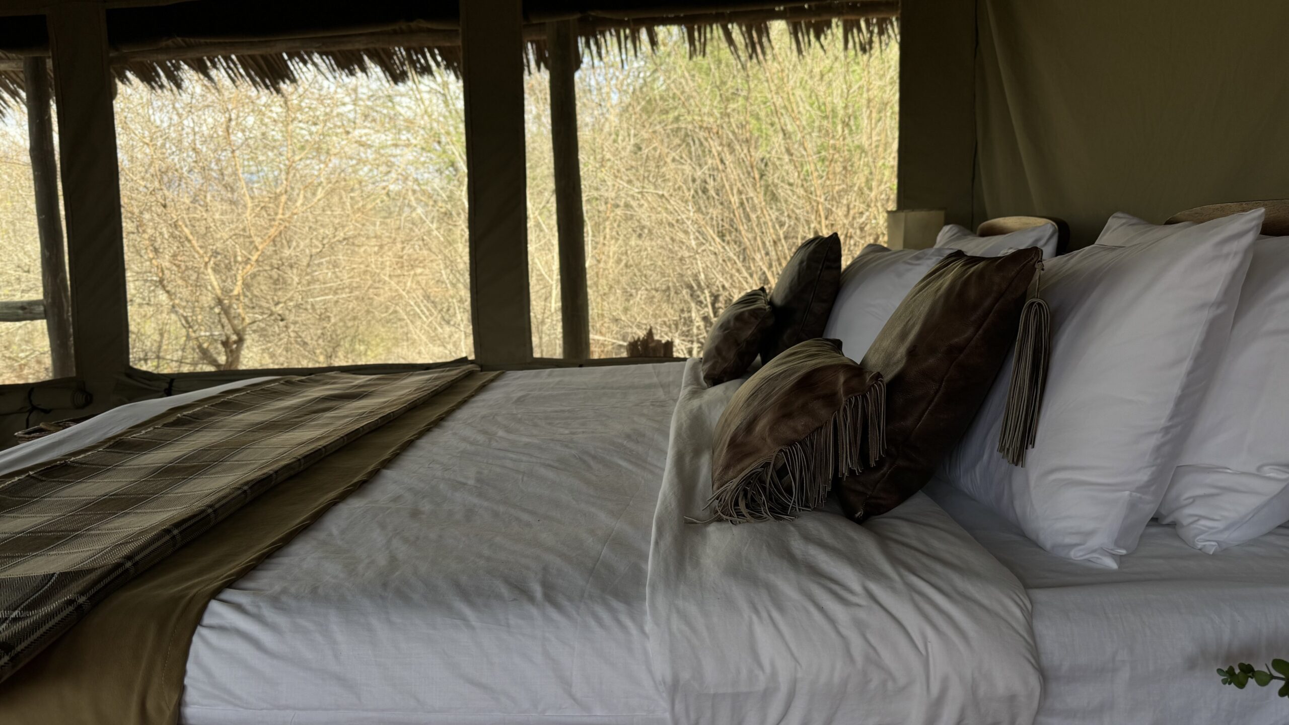 Babu's Camp en Mkomazi National Park