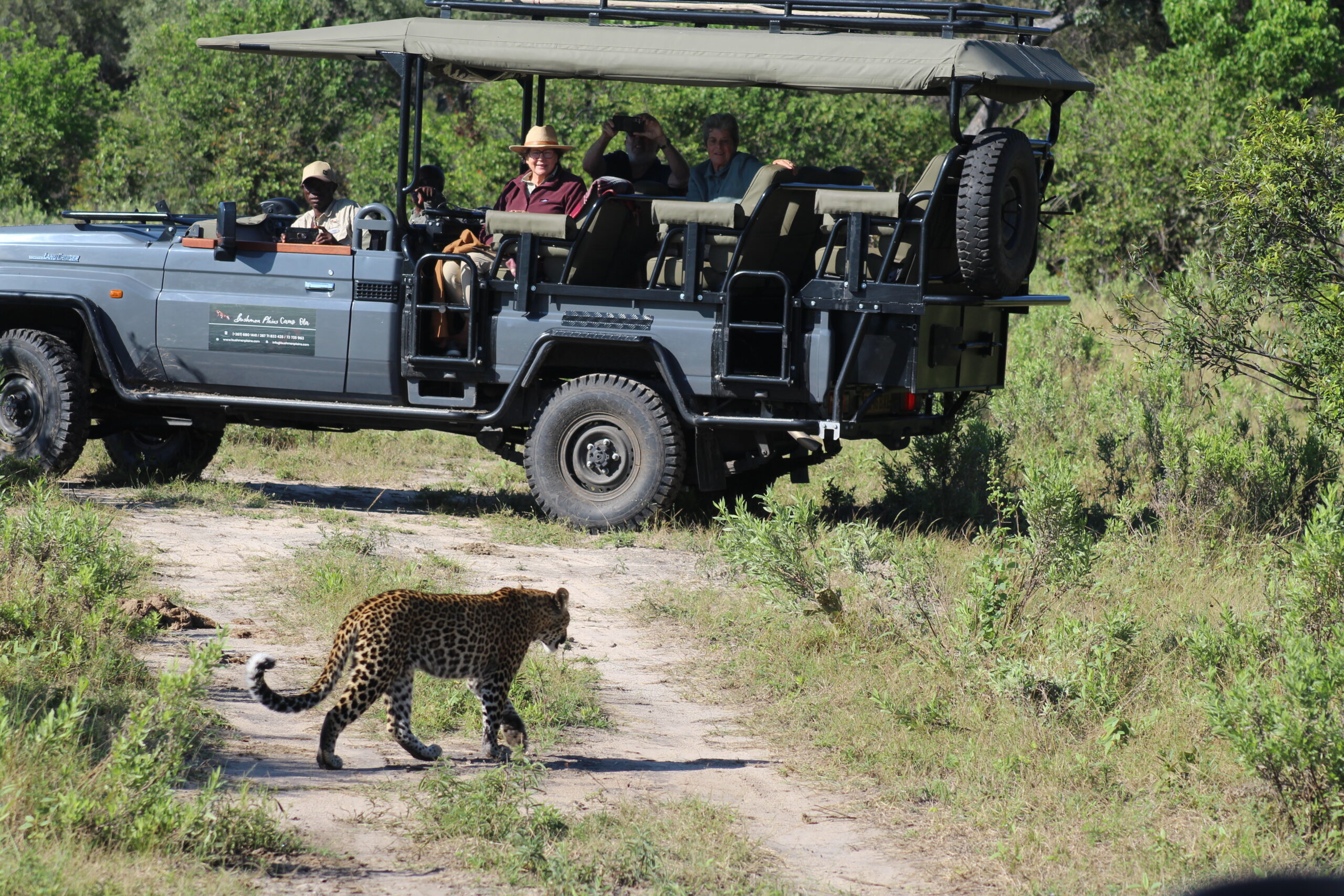 Bushmen Plains – Camp Ola en Delta Okavango