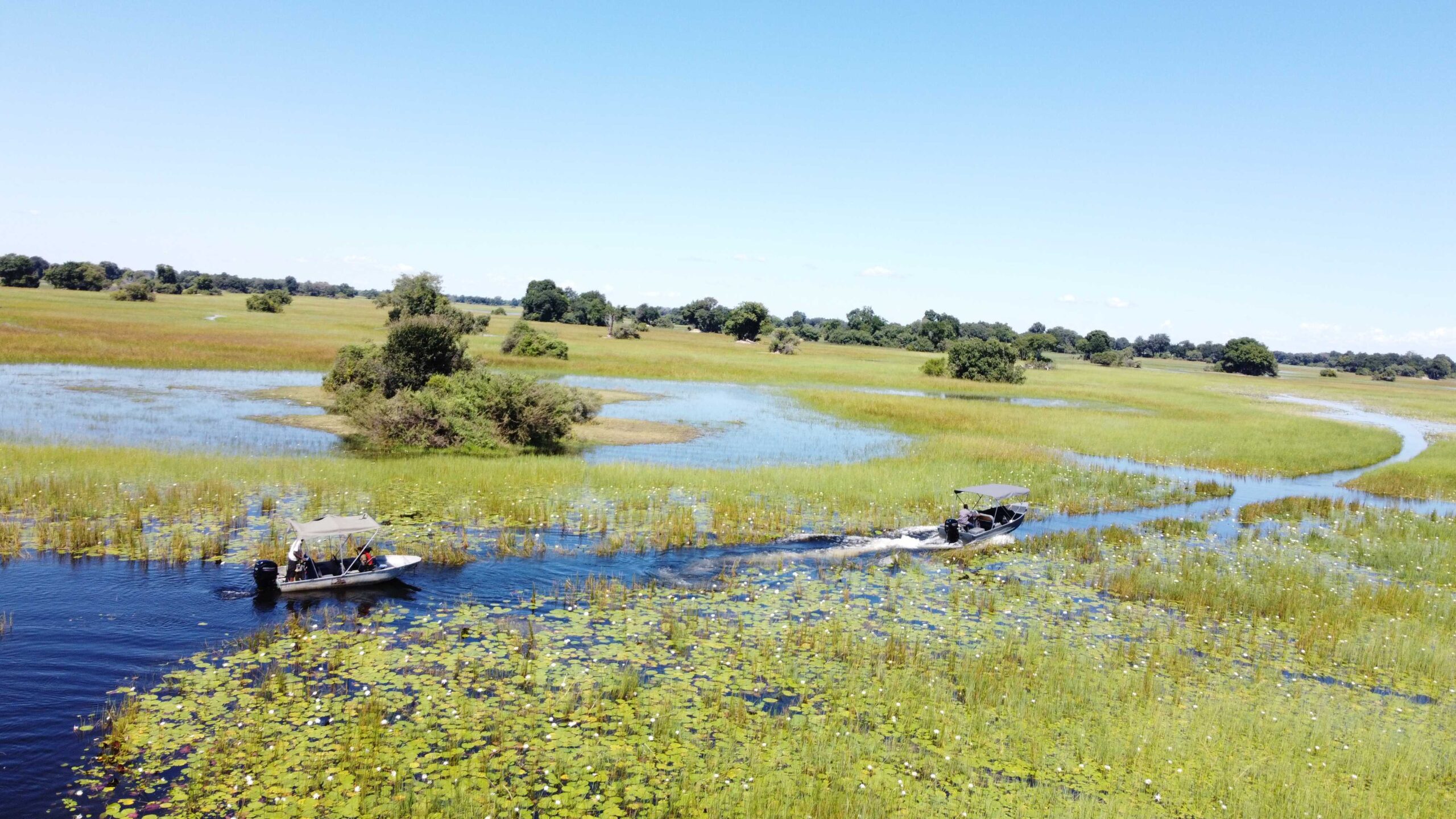 Bushmen Plains – Camp Ola en Delta Okavango