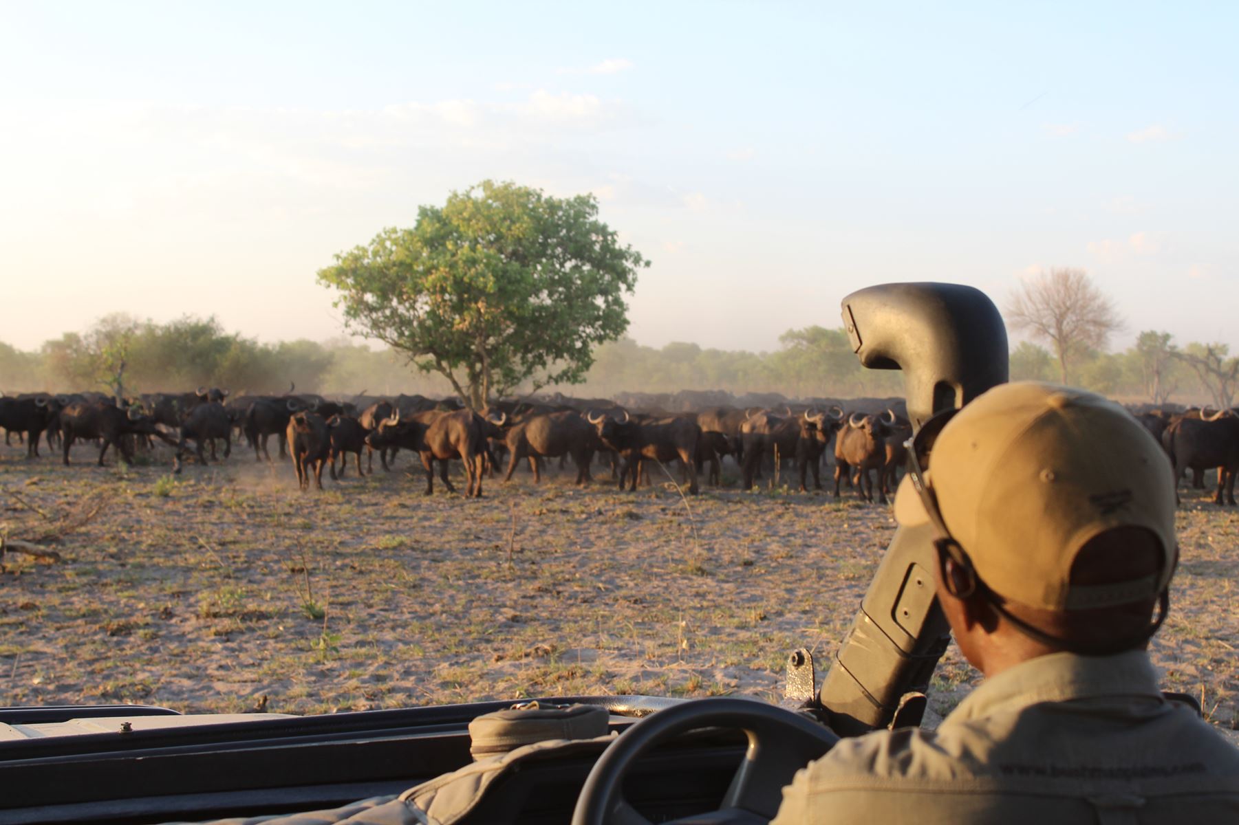 Bushmen Plains – Camp Ola en Delta Okavango