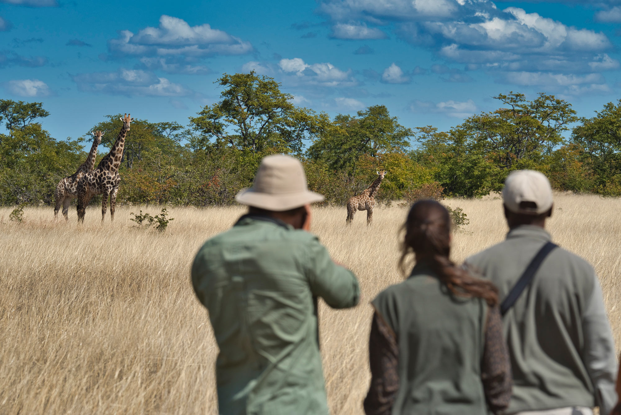Camp Hwange en Hwange