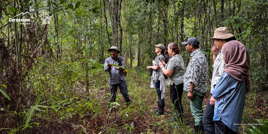 Cardamom Tented Camp en Botum Sakor National Park