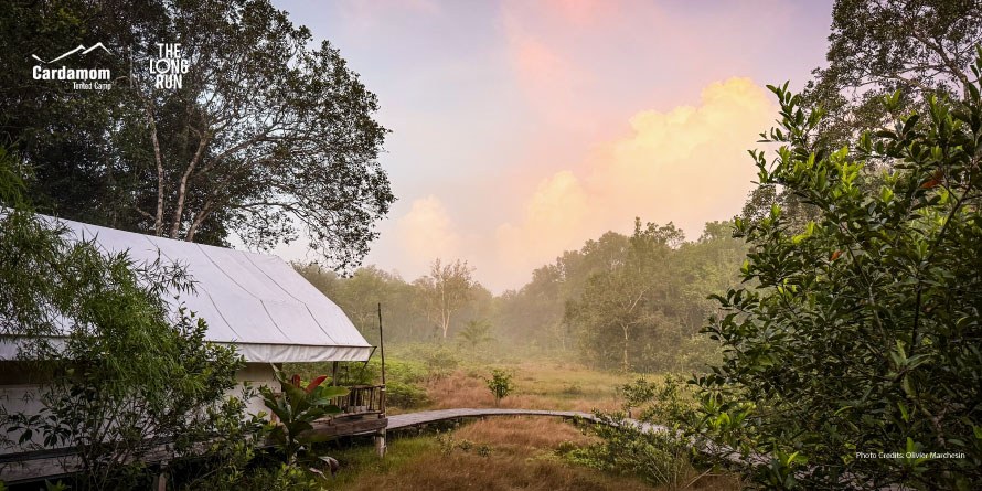 Cardamom Tented Camp en Botum Sakor National Park