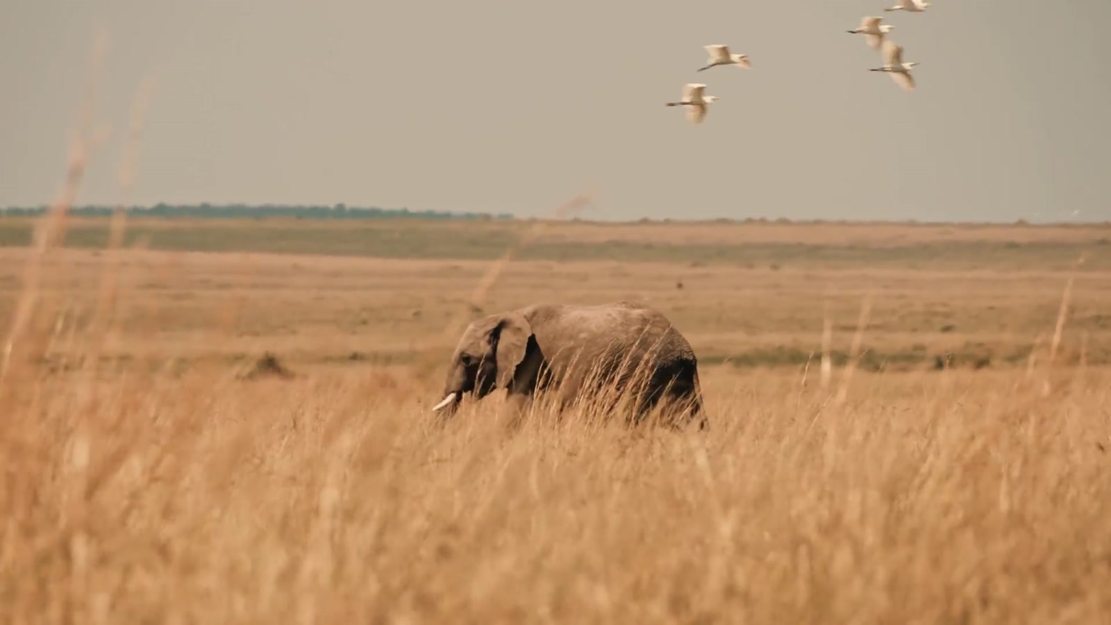 Carmine's River Lodge en Luangwa Valley