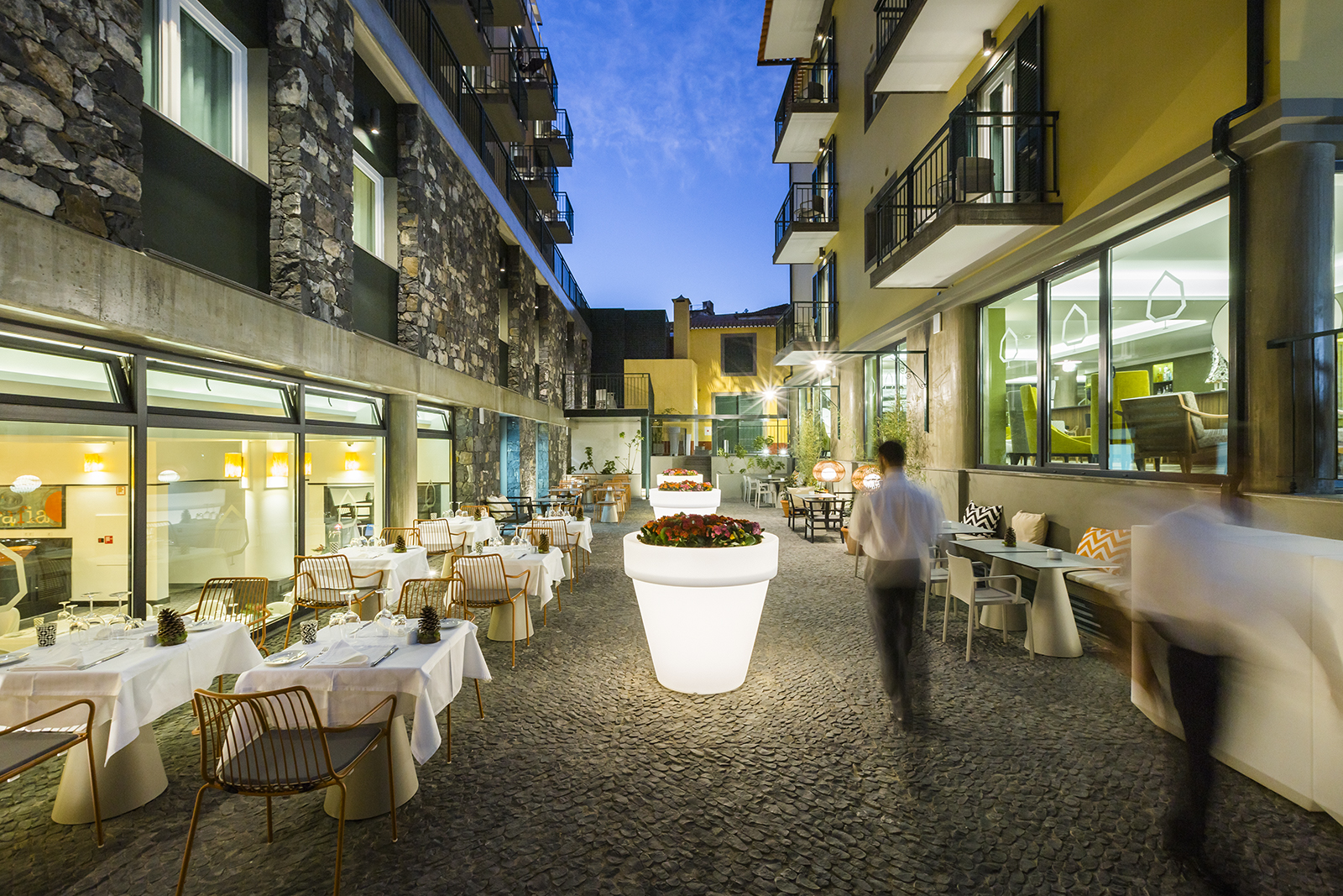 Castanheiro patio norte