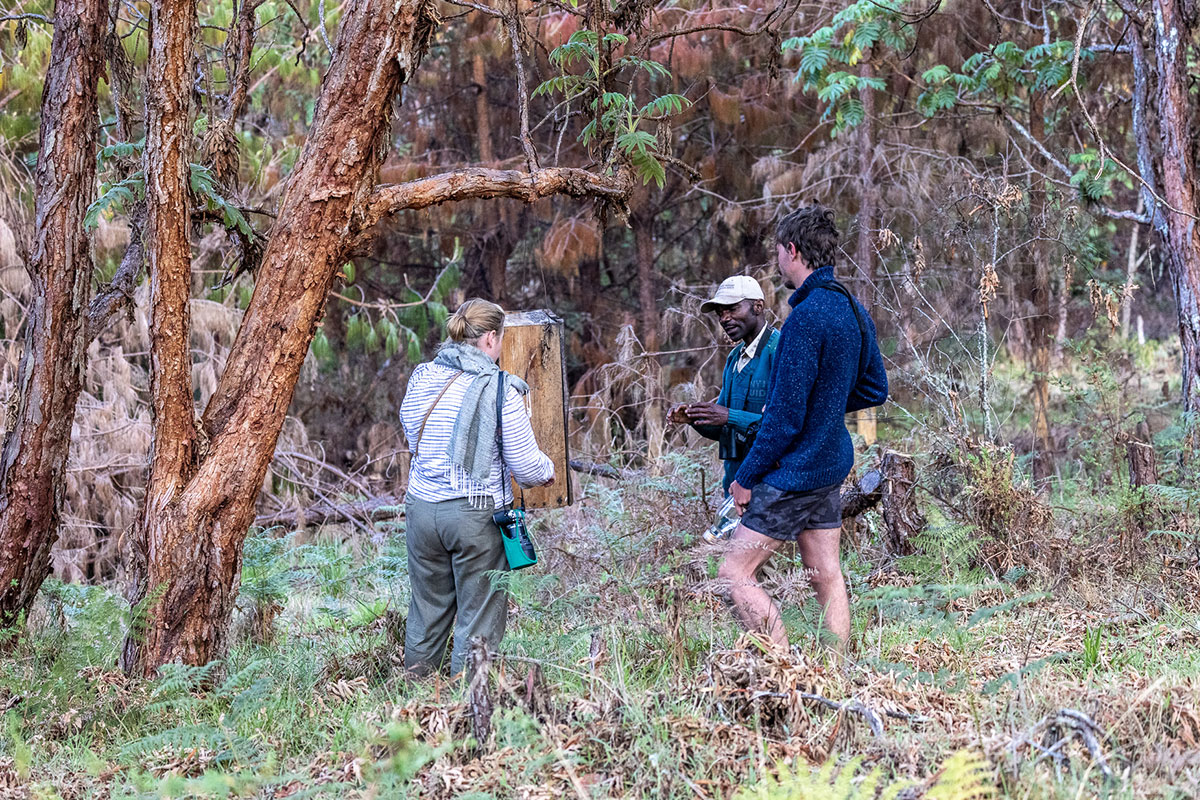 Chelinda Lodge en Parque Nacional de Nyika