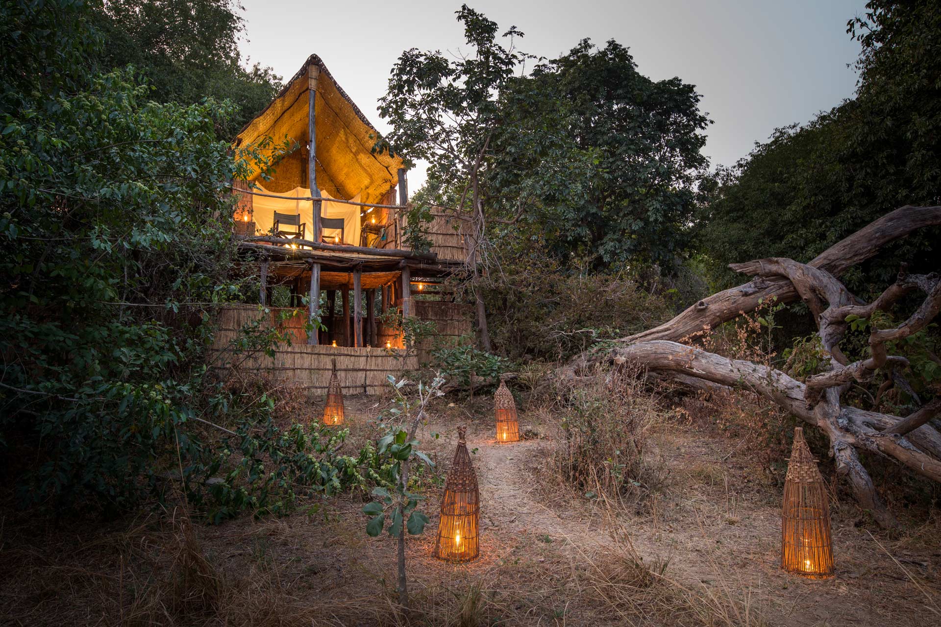 Chikoko Tree Camp en su destino