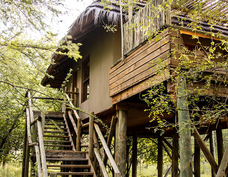 Chobe Bakwena Lodge en Chobe
