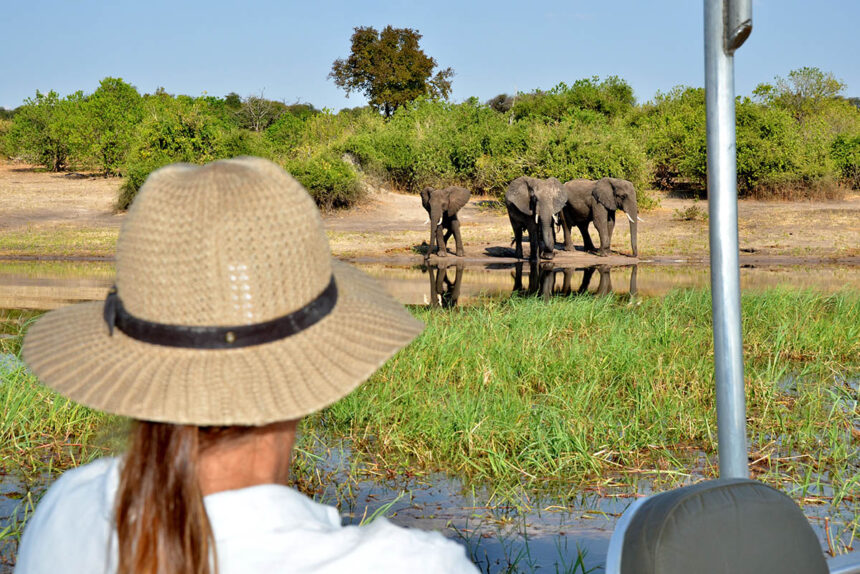 Chobe Bakwena Lodge en Chobe