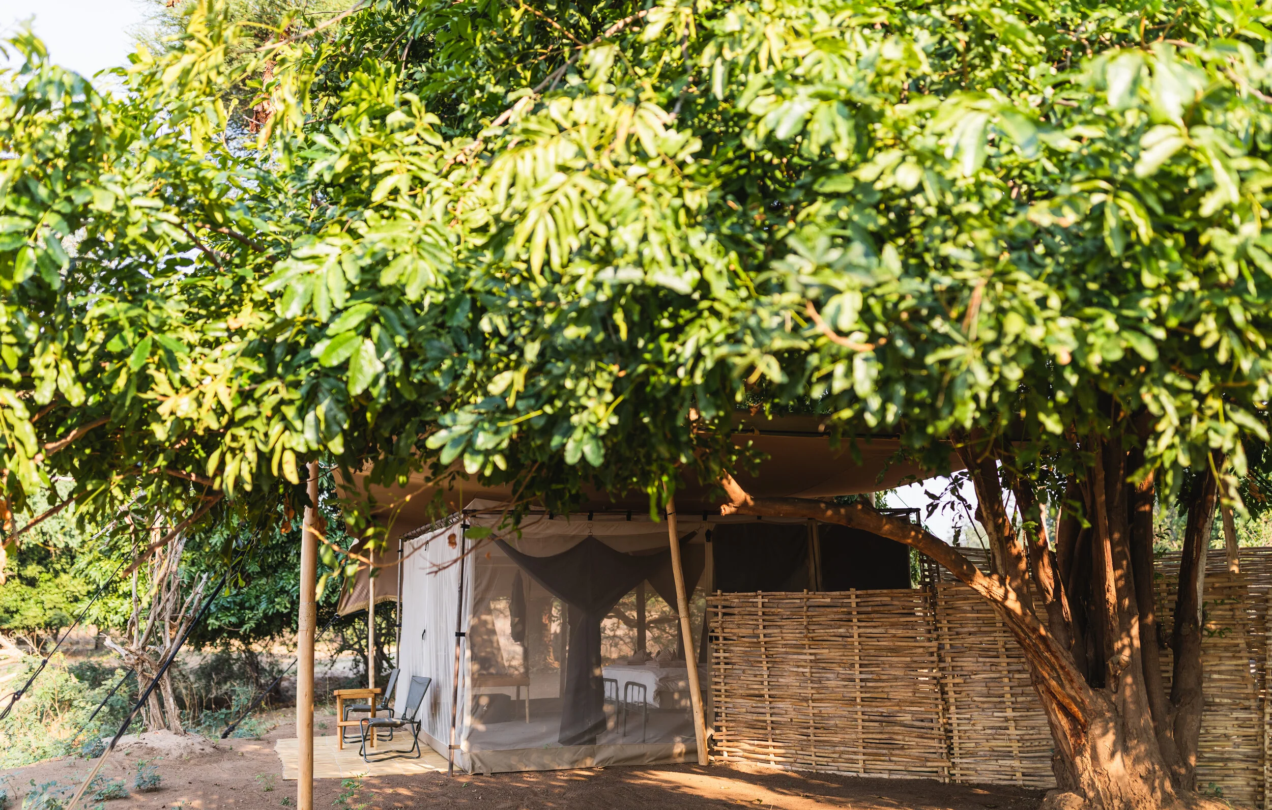 Tm+tents+manameadowsaug19+