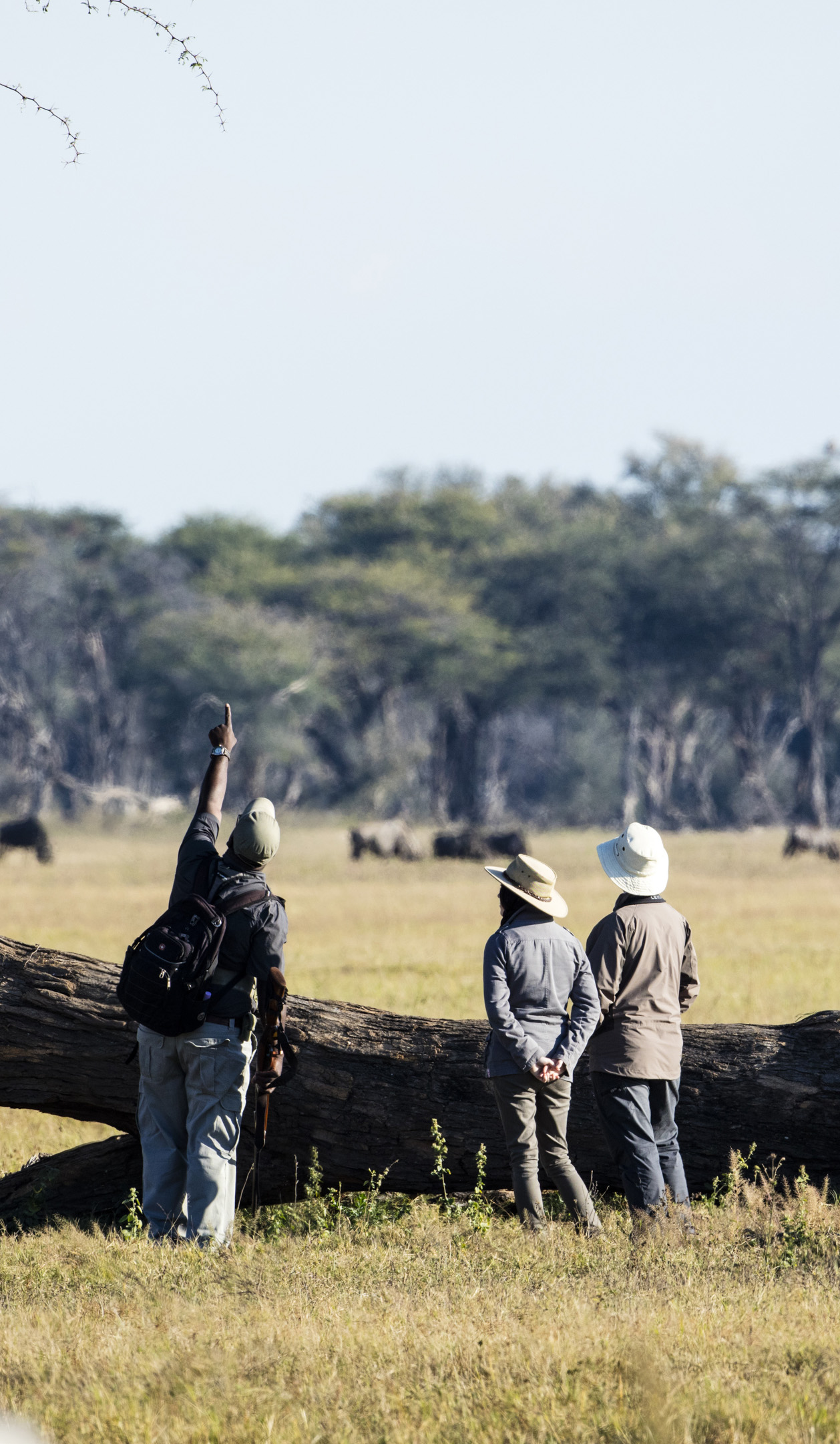 Davison's Camp en Hwange