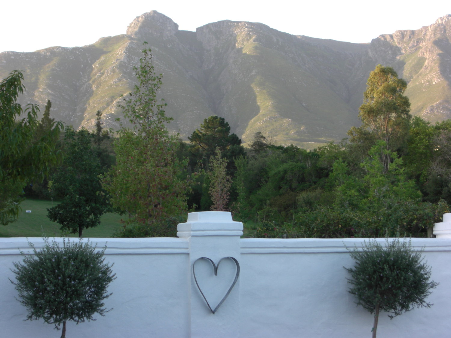 Mountainviews41784b9