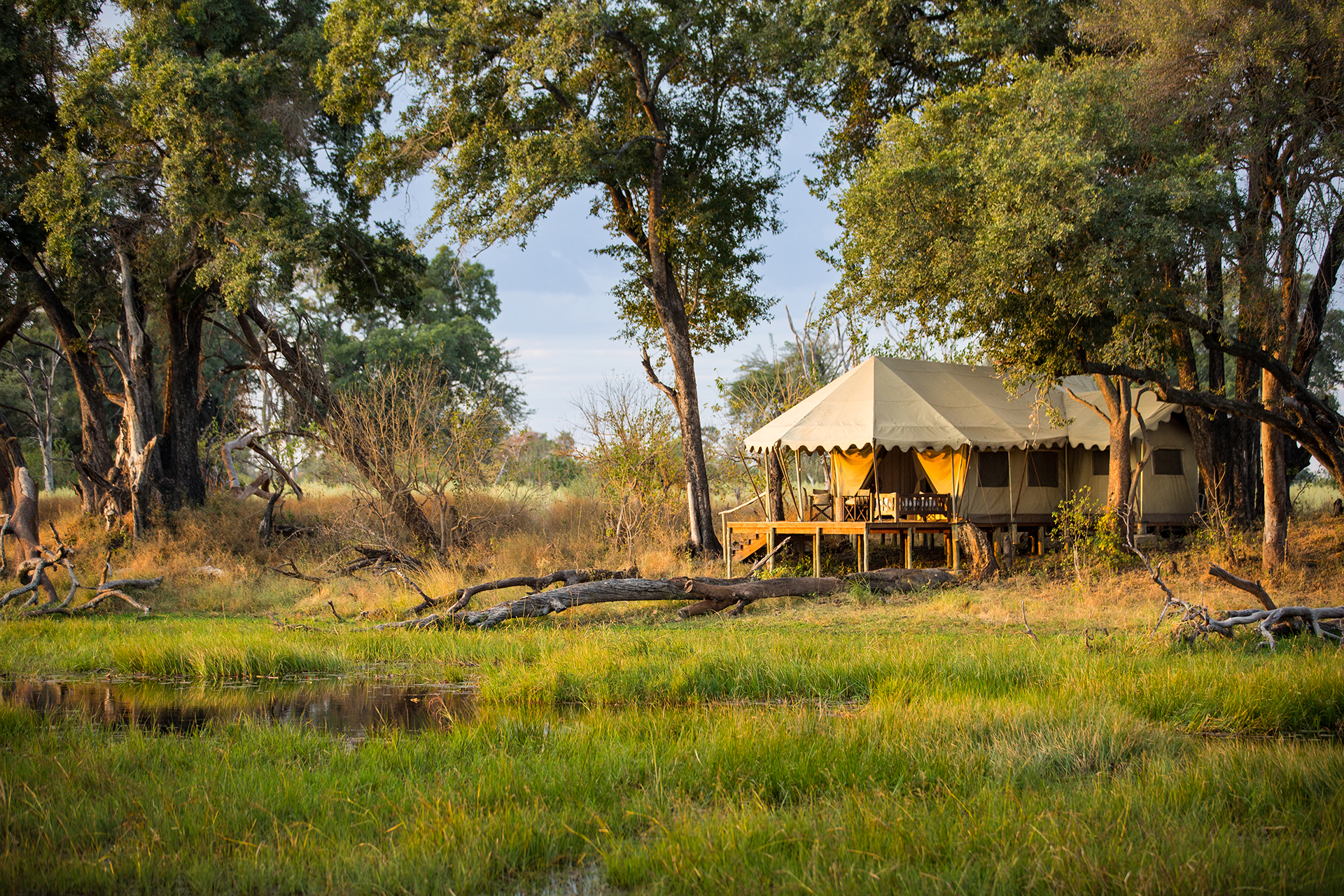 Great plains duba explorers camp guest tent