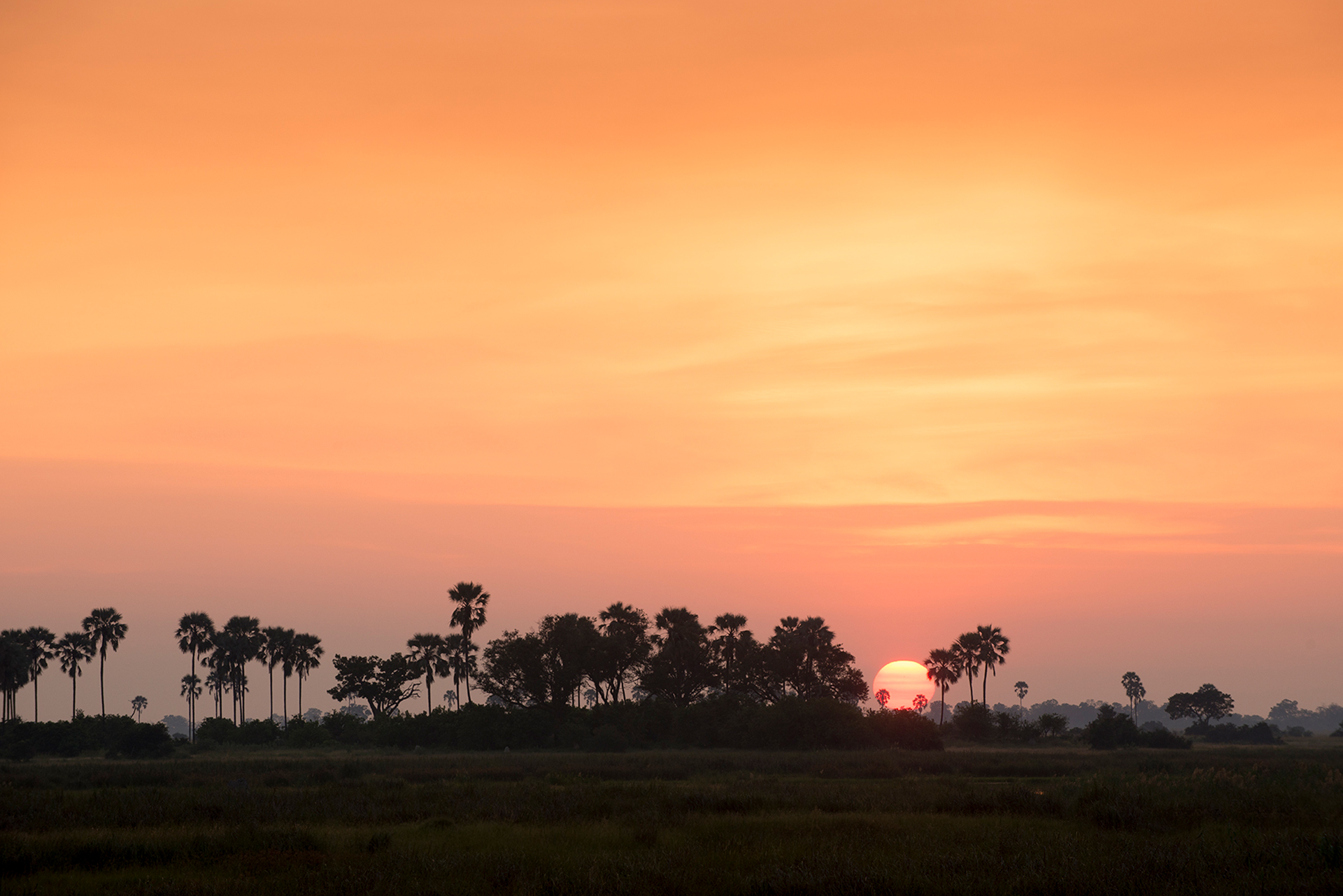 Great plains duba plains suite sunset