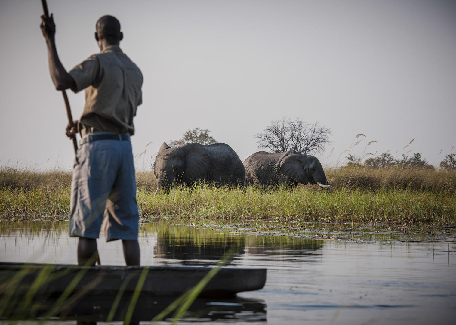Dukes camp mokoro safari viewing elephant