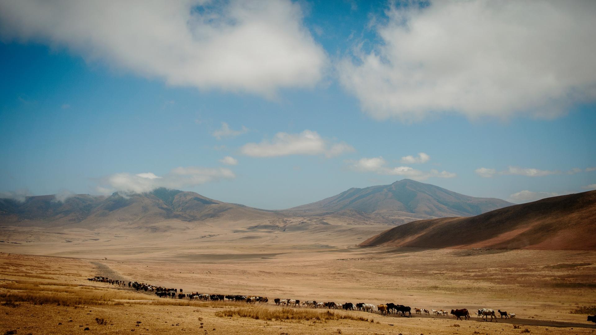 Entamanu Ngorongoro en Ngorongoro