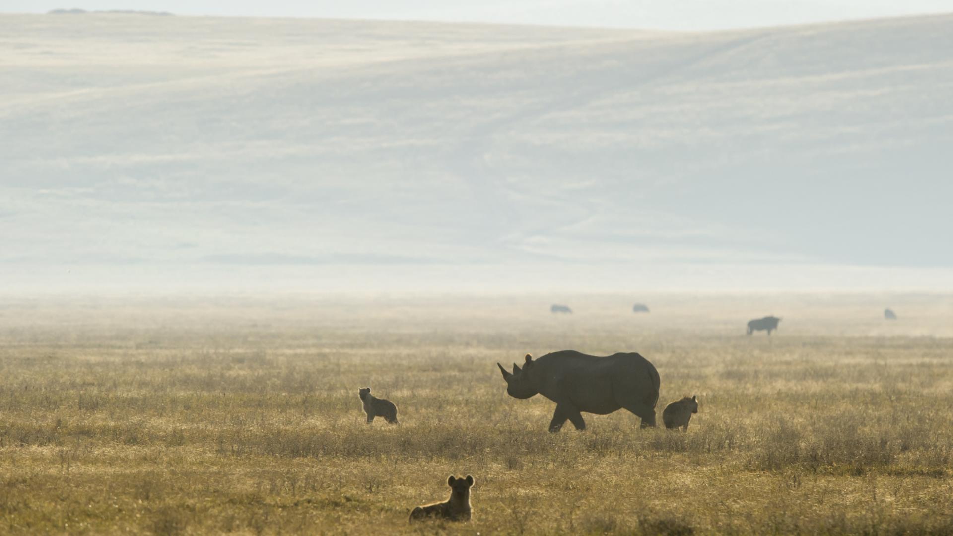 Entamanu Ngorongoro en Ngorongoro