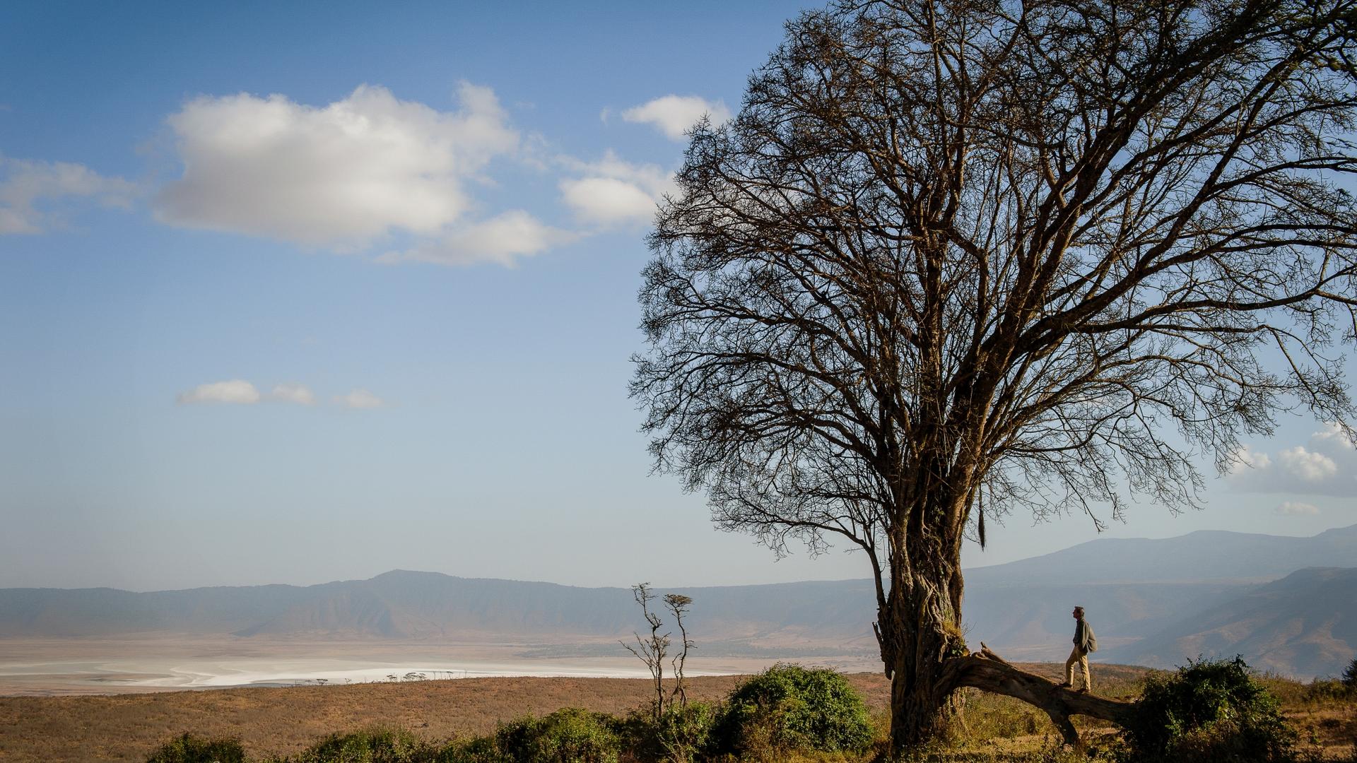 Entamanu Ngorongoro en Ngorongoro