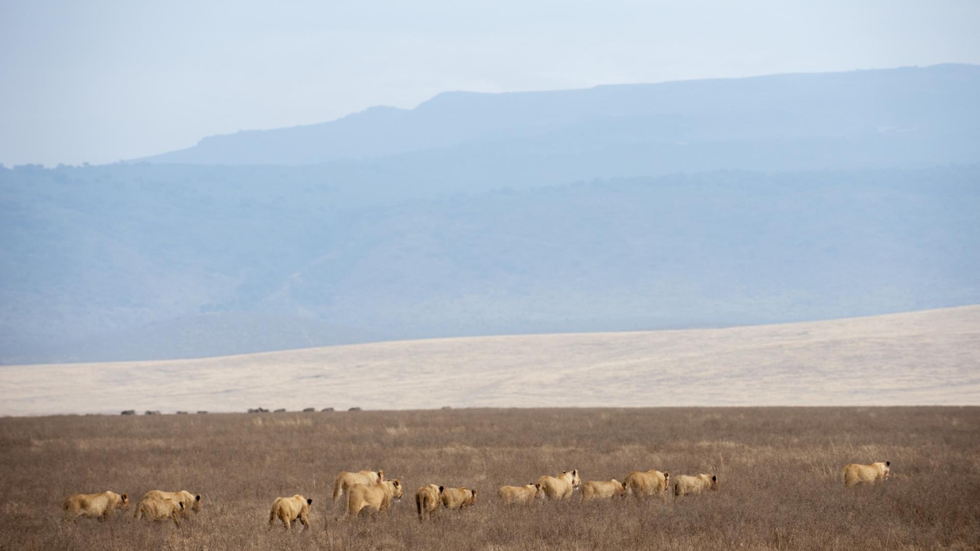 Entamanu Ngorongoro en Ngorongoro