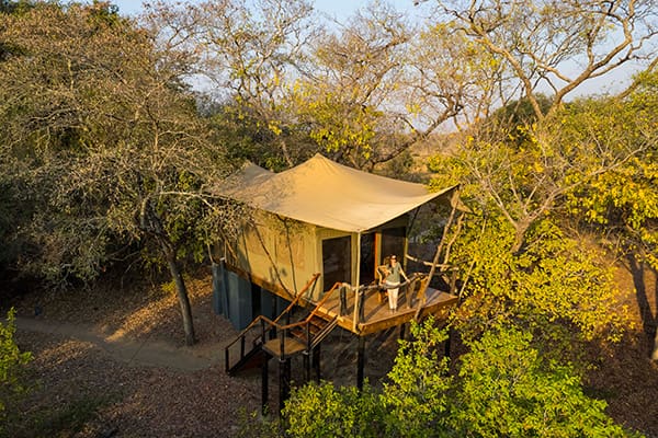 Fig Tree Bush Camp - Mukambi en su destino
