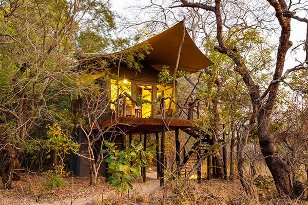 Fig Tree Bush Camp - Mukambi en Kafue